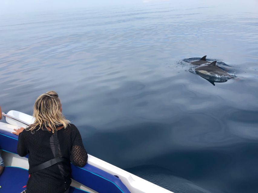 Faro: Dolphin and Wildlife Watching in the Atlantic Ocean - Sustainable Tourism Practices