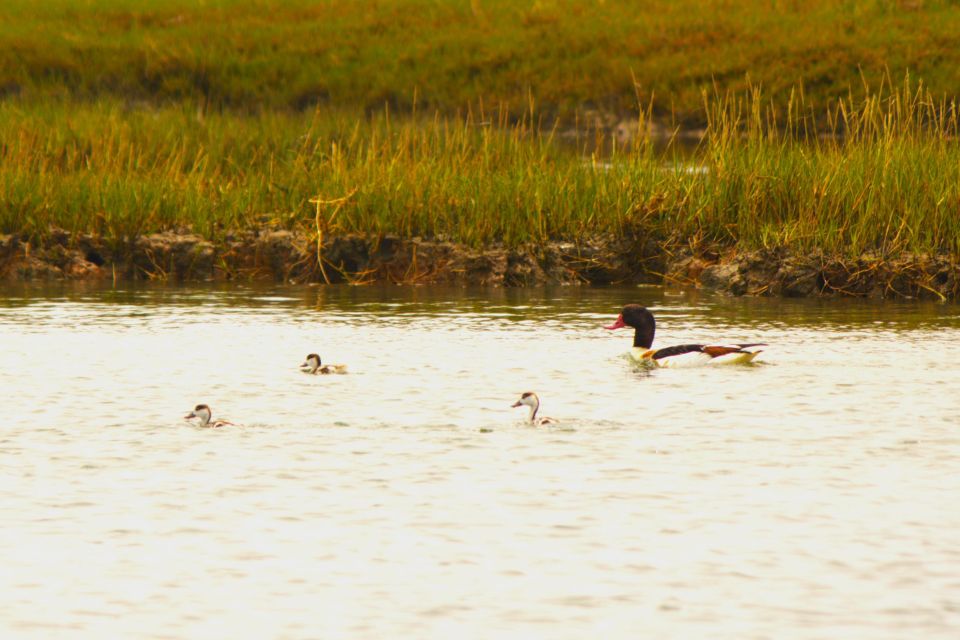 Faro: Pudim Real Boat Tours 6h Ria Formosa Boat Tour - Location and Tour Logistics