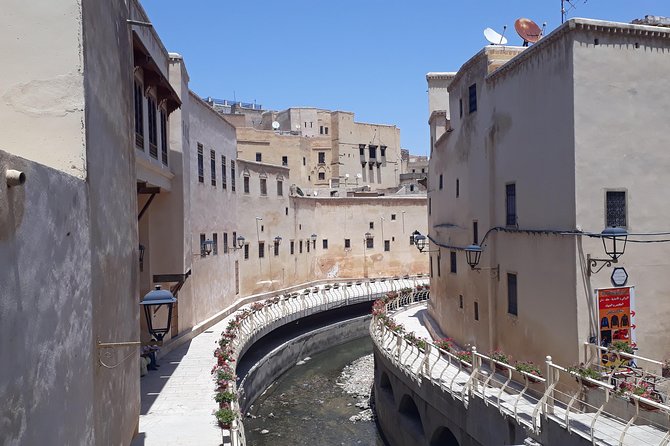 Fez Medina 4-Hour Guided Walking Tour - Reviews & Recommendations