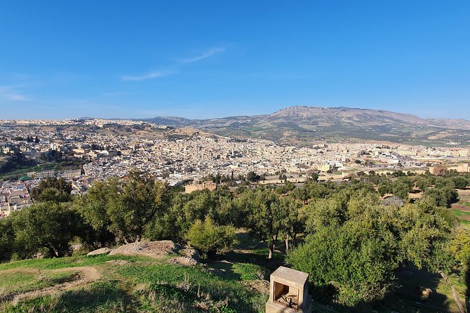 Fez Private Discovery Tour With a Local Guide - Traveler Reviews Validation