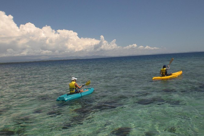 Fijian Islands and Snorkel Full-Day Whales Tale Cruise Including Beach BBQ Lunch - Common questions