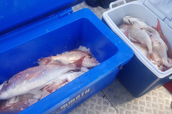 Fishing Charter - Hauraki Gulf - Cancellation Policy