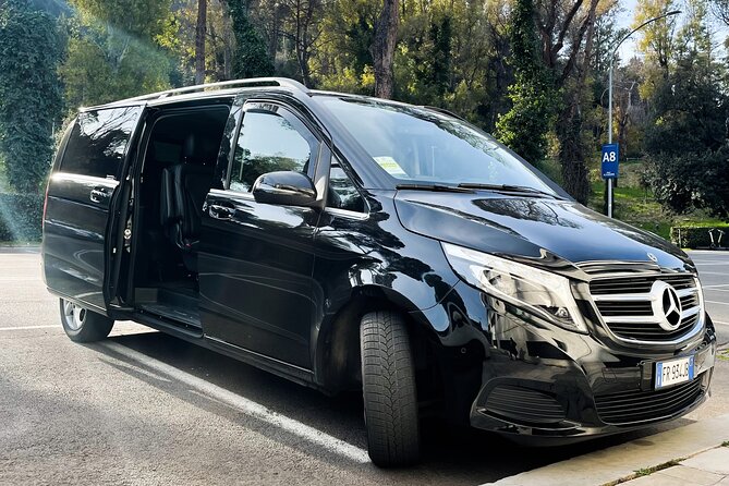 Fiumicino Airport (FCO) to Rome - Private Arrival Transfer - Customer Reviews and Satisfaction