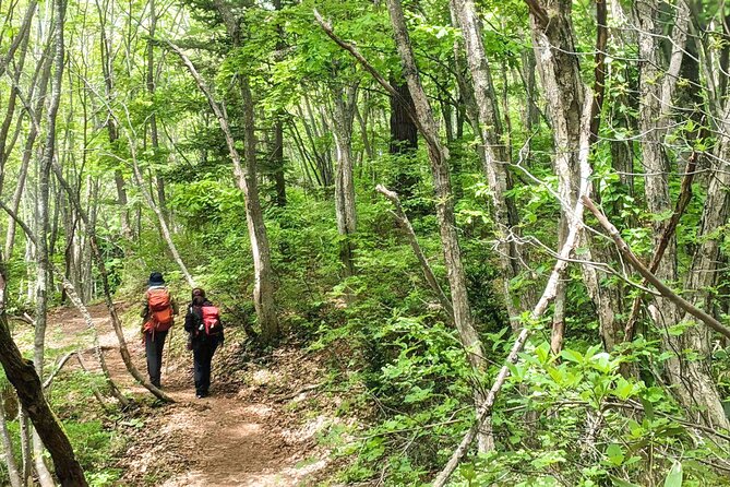 Forest Shrines of Togakushi, Nagano: Private Walking Tour - Contact Information