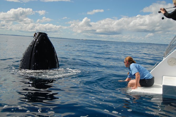 Fraser Island Whale Watch Encounter - Common questions