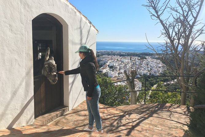 Frigiliana Small-Group Hike and Wine Tasting Tour From Malaga - Directions