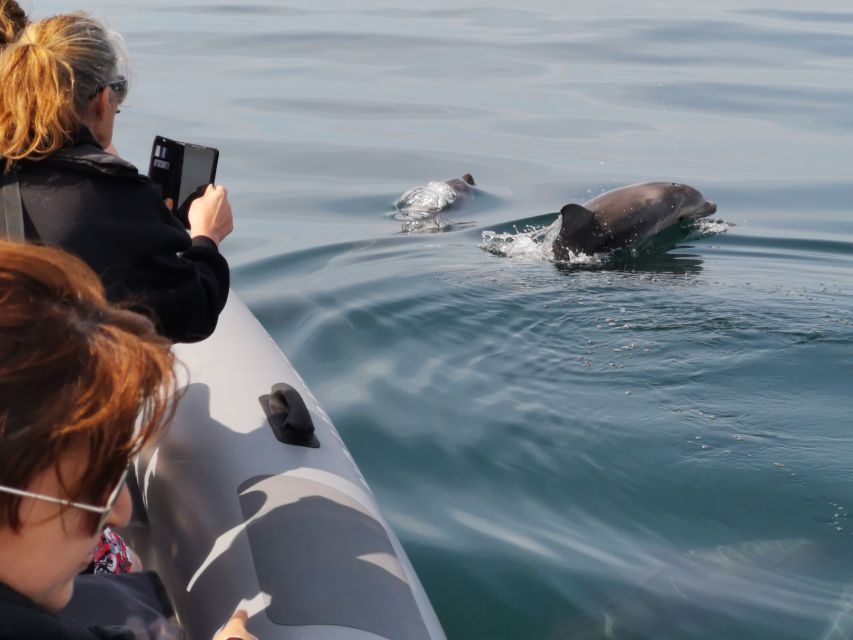 From Albufeira: Benagil Caves and Dolphins Guided Boat Tour - Booking Flexibility and Cancellation Policy