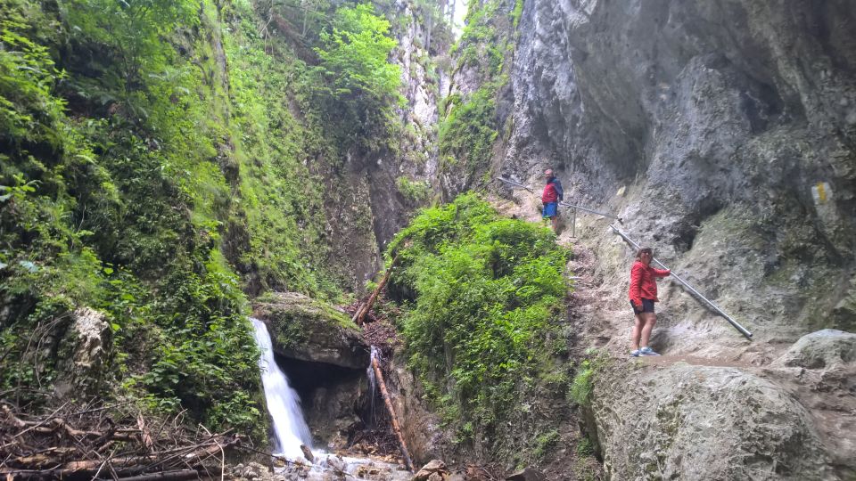 From Brasov: Day Trip to the Seven Ladders Canyon - Location and Transportation