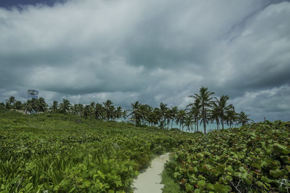 From Cancun or Riviera Maya: Isla Contoy & Mujeres Day Trip - Photo Gallery