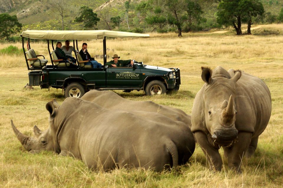 From Cape Town: 3-Day Garden Route Highlights Tour & Safari - Last Words