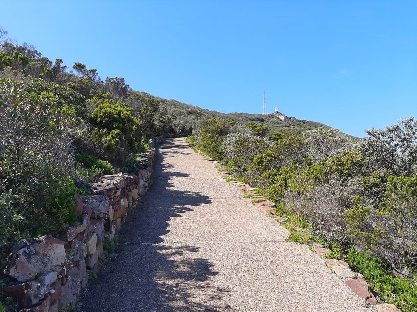 From Cape Town: Cape Peninsula & Boulders Penguin Beach Tour - Last Words