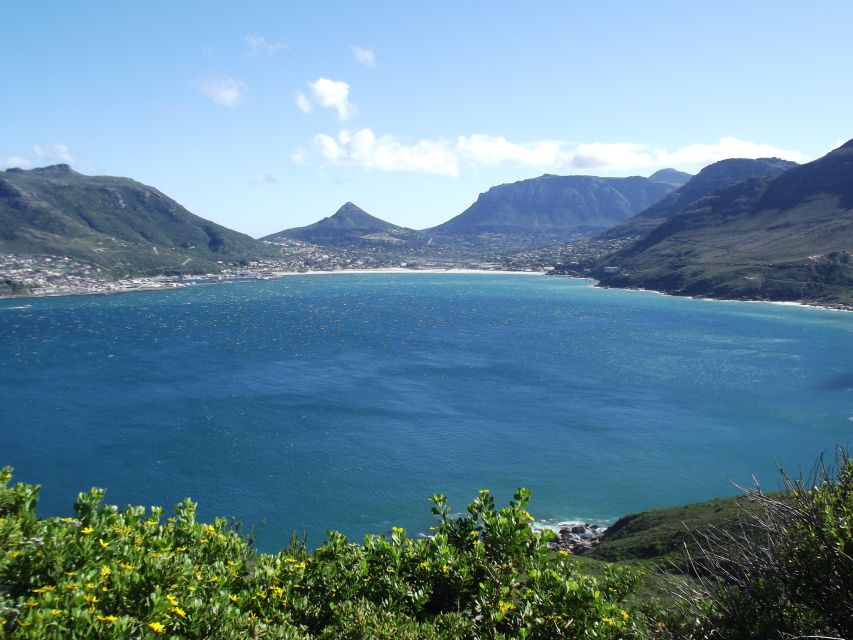 From Cape Town : Cape Point Boulders Beach Full-Day Tour - Last Words