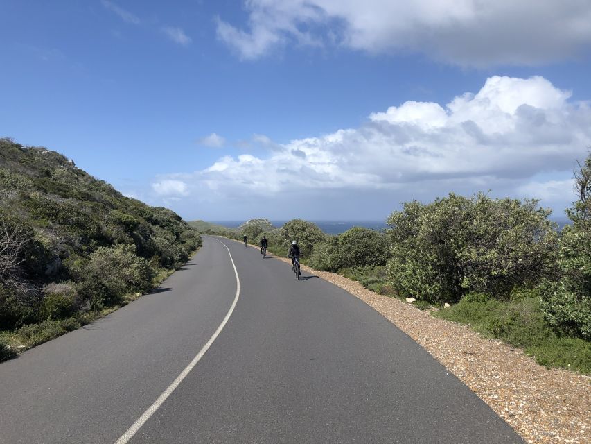 From Cape Town: Cape Point National Park E-Bike Tour - Common questions