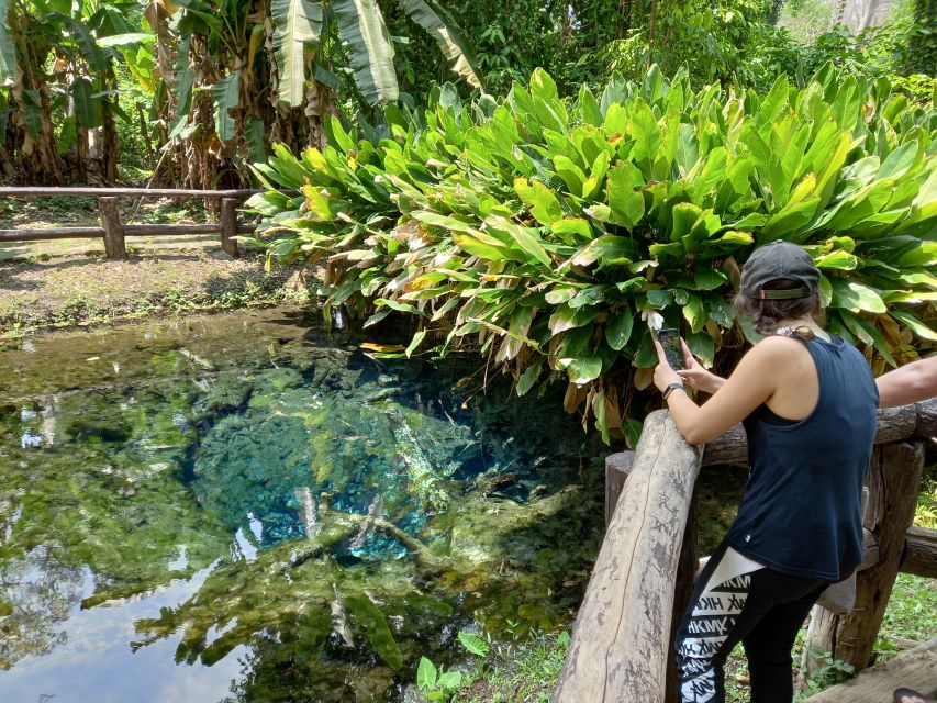 From Chiang Mai: Sticky Waterfall Hike & Mountain Bike Ride - Cave Visit