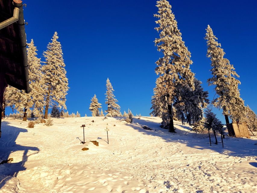 From Cluj-Napoca: Day Hike to Vlădeasa Peak - Safety Precautions