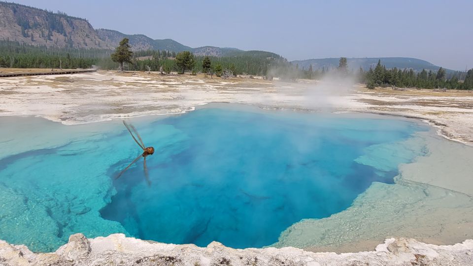 From Cody: Full-Day Yellowstone National Park Tour - Visit Grand Prismatic Spring