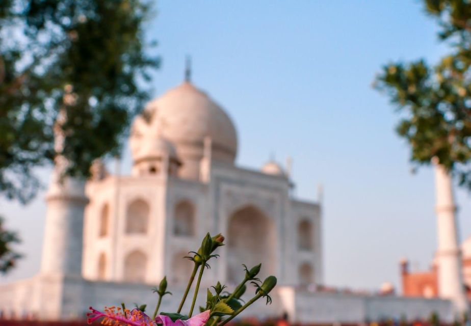 From Delhi: 5-Day Private Golden Triangle Tour Hotels - Safety Measures and Comfort Standards