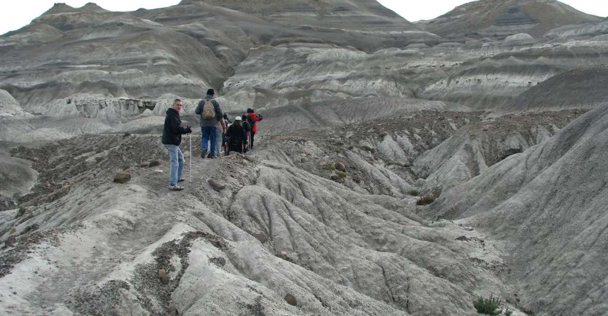 From El Calafate: La Leona Petrified Forest Tour - Directions