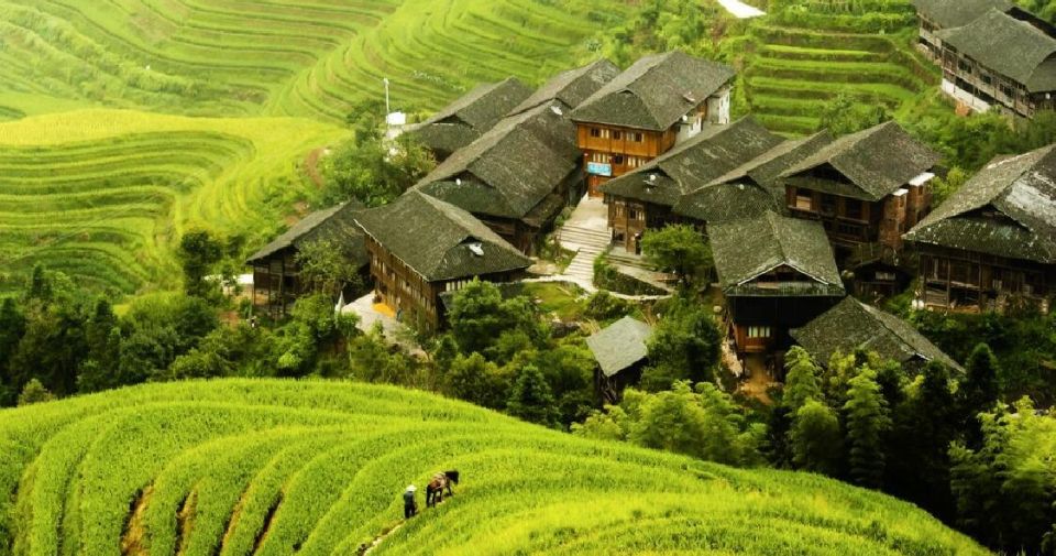 From Guilin: Longsheng Dragon's Backbone Rice Terraces - Last Words