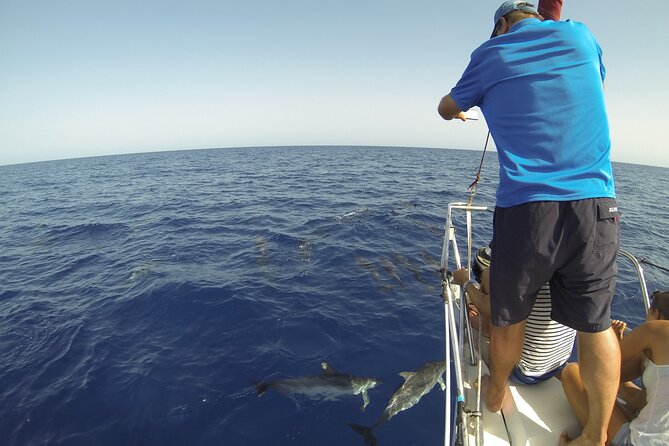 From Heraklion : Small Group 6 Hours Sailing Trip to Dia Island - Last Words