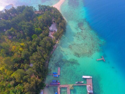 From Jepara: Karimunjawa Archipelago 3-Day Snorkeling Tour - Snorkeling Highlights