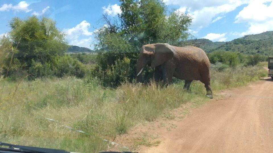 From Johannesburg: 7-Day Kruger National Park Tour - Nature Sightseeing and Adventures