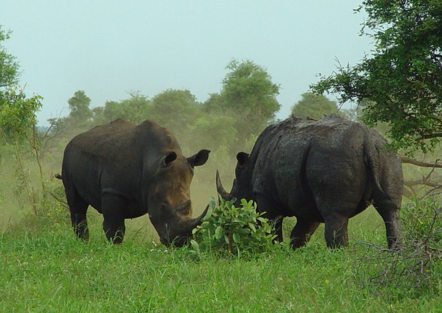 From Johannesburg: Pilanesberg Nature Reserve Game Safari - Common questions