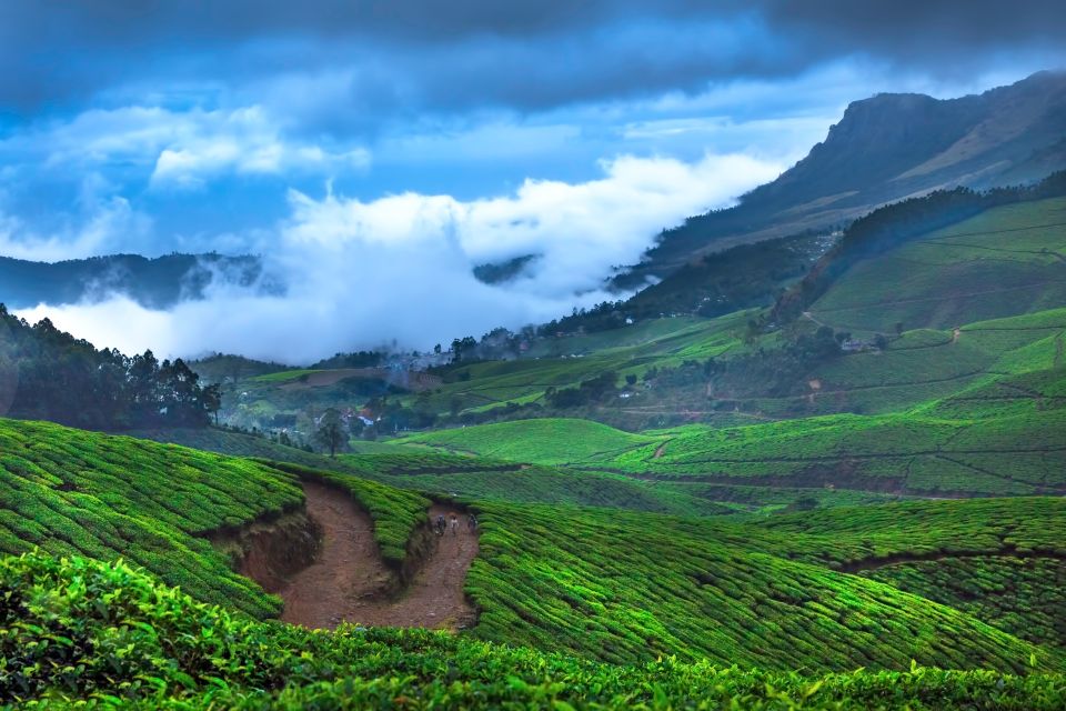 From Kochi: Munnar & Tea Museum Private Guided Tour - Directions