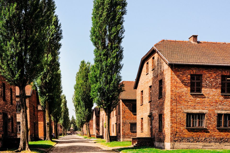 From Krakow: Auschwitz-Birkenau Tour With Transportation - Additional Information