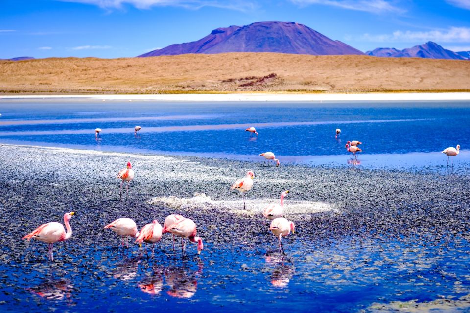From La Paz: 4-Day Trip to San Pedro De Atacama W/Salt Flats - Tips for the Trip
