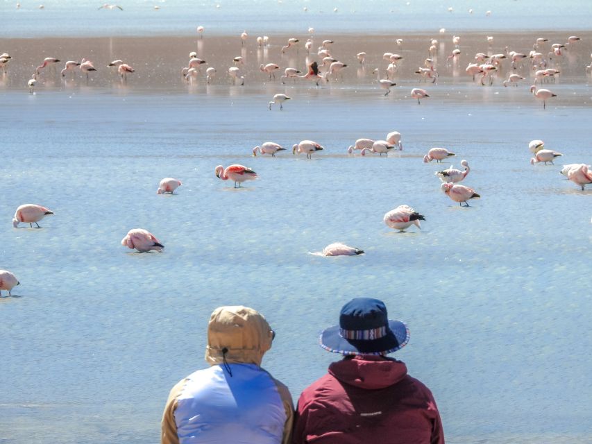 From La Paz: 5-Day Uyuni and Red Lagoon Tour With Bus Ride - Inclusions and Booking Information