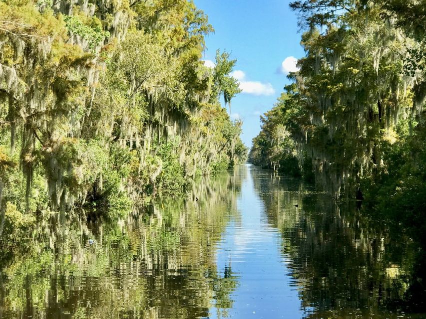 From Lafitte: Swamp Tours South of New Orleans by Airboat - Tips for a Memorable Tour