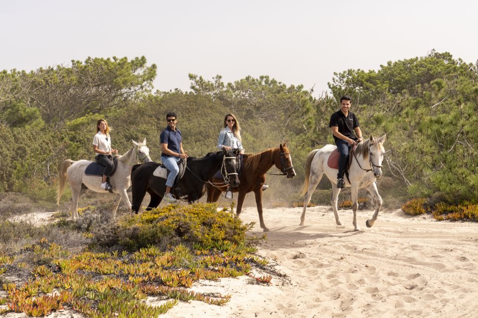 From Lisbon: Comporta and Setúbal Trip With Horseback Riding - Guest Feedback on Horseback Riding