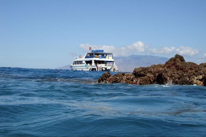 From Maalaea Harbor: Whale Watching Tours Aboard the Quicksilver - Miscellaneous