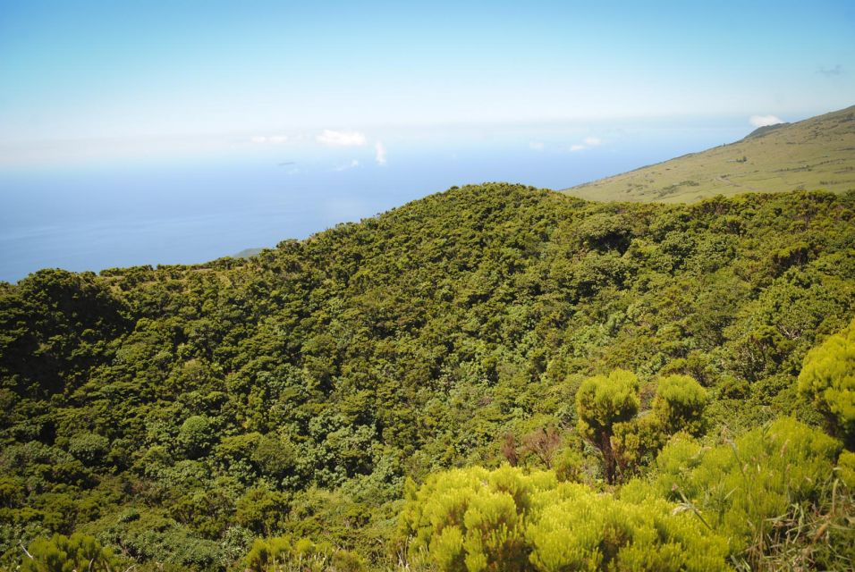 From Madalena: Pico Volcanoes and Lakes Guided Day Tour - Geological Context Exploration