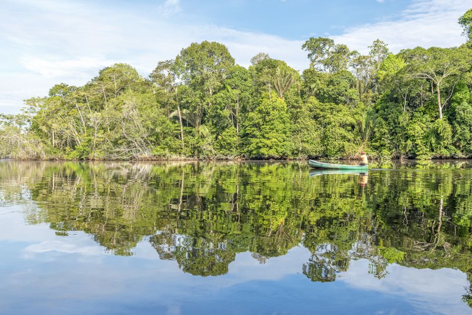 From Manaus: One-Day Amazon Jungle Experience - Common questions