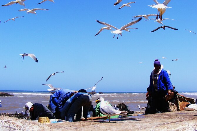 From Marrakech: Essaouira Full-Day Trip - Common questions
