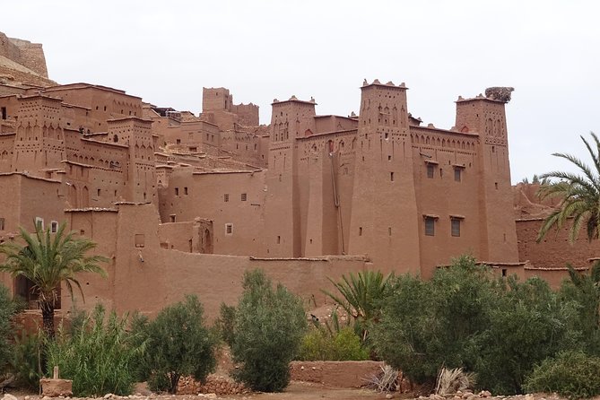 From Marrakech: Private Tour to Oasis and Trekking in the Desert of Erg Chigaga - Last Words