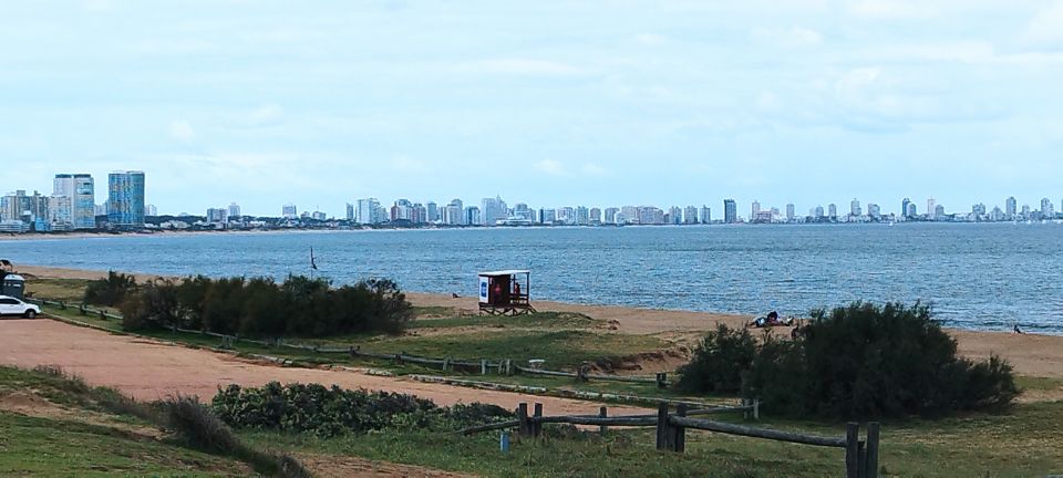 From Montevideo: Punta Del Este Full-Day Private Tour - Last Words