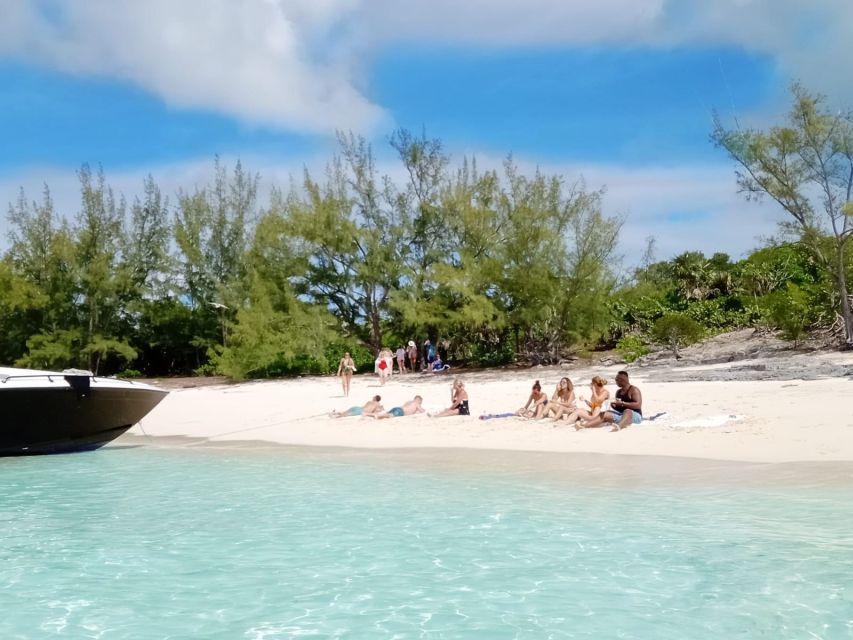 From Nassau: Exuma Iguanas, Sharks & Swimming Pigs Day Tour - Last Words