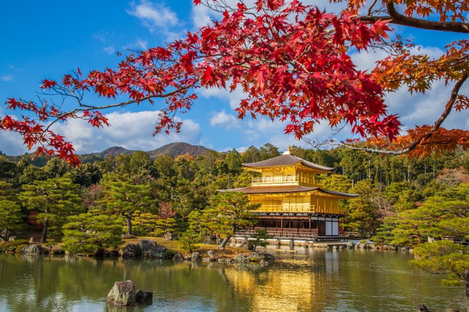 From Osaka/Kyoto: Kyoto & Nara Bus Tour W/ Kinkakuji Ticket - Customer Reviews and Ratings