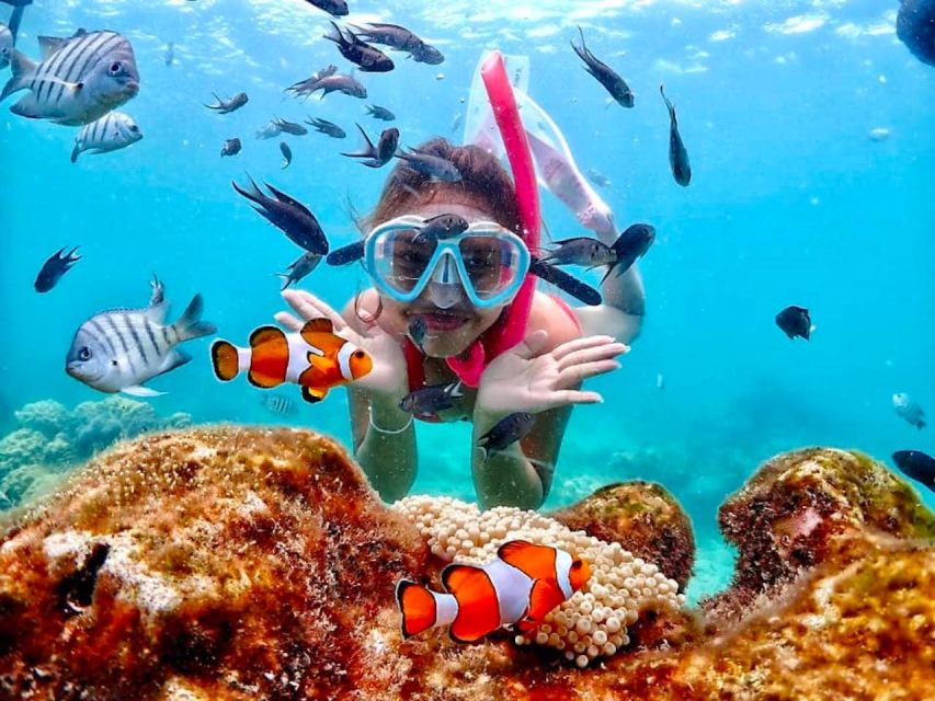 From Pattaya: Private Speedboat to Nemo Island With Snorkel - Booking and Reservation Process