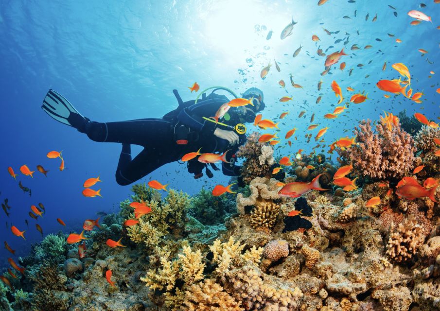 From Pattaya: Snorkeling or Beginner Scuba Diving Tour - Instructor Expertise