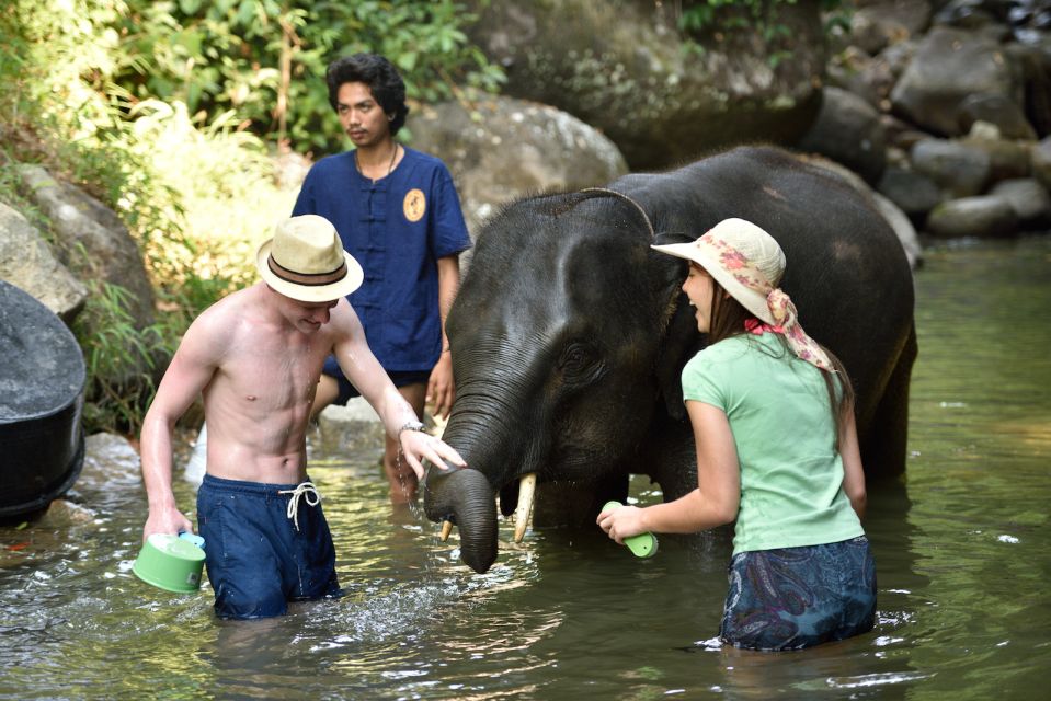 From Phuket: Elephant Care Experience With Rafting & Zipline - Elephant Interaction