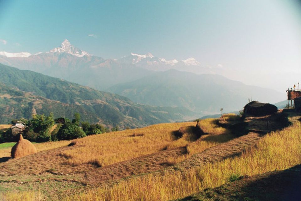 From Pokhara: 3-Day Dhampus-Sarangkot Trek - Last Words