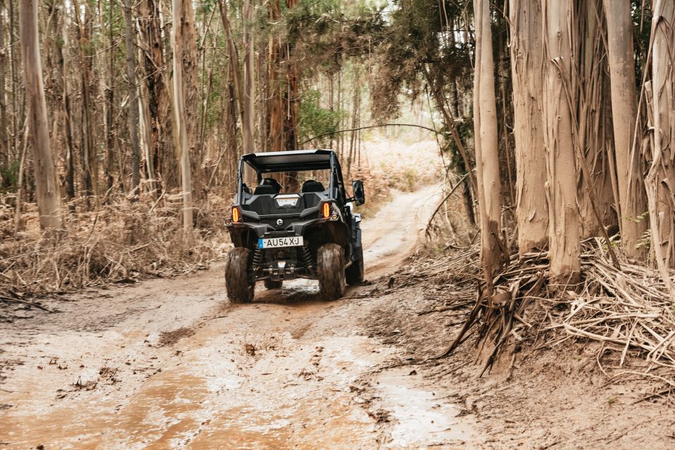 From Porto: Off-Road Buggy Adventure - Last Words