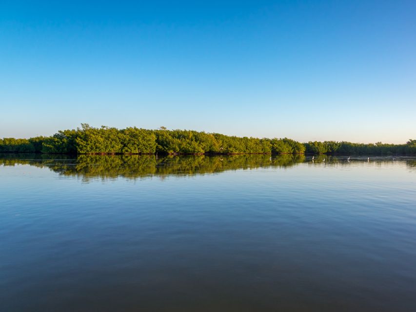 From Riviera Maya: Las Coloradas Y Rio Lagartos Tour - Common questions