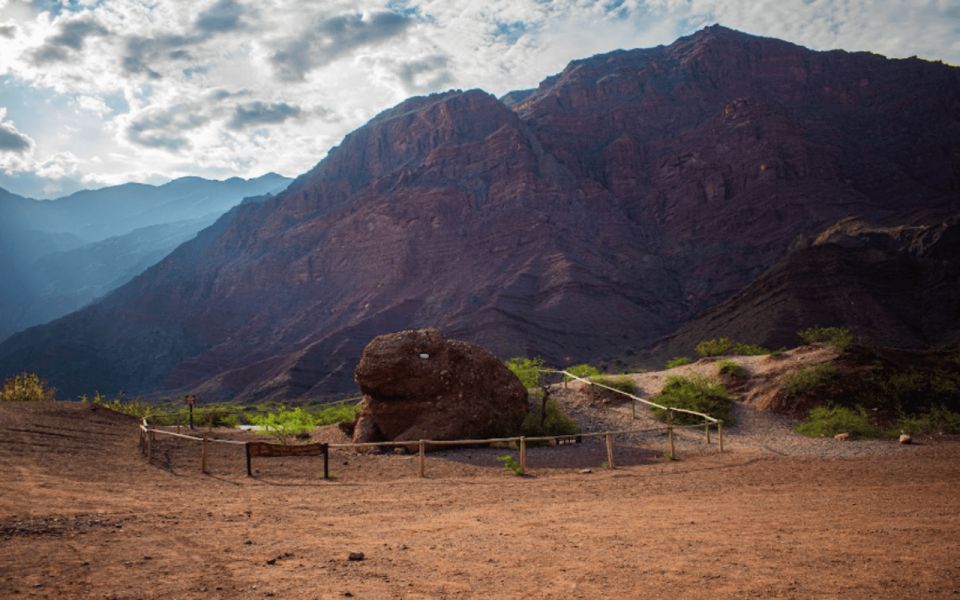From Salta: Full-Day Excursions Through Cafayate and Cachi - Customer Reviews and Pricing