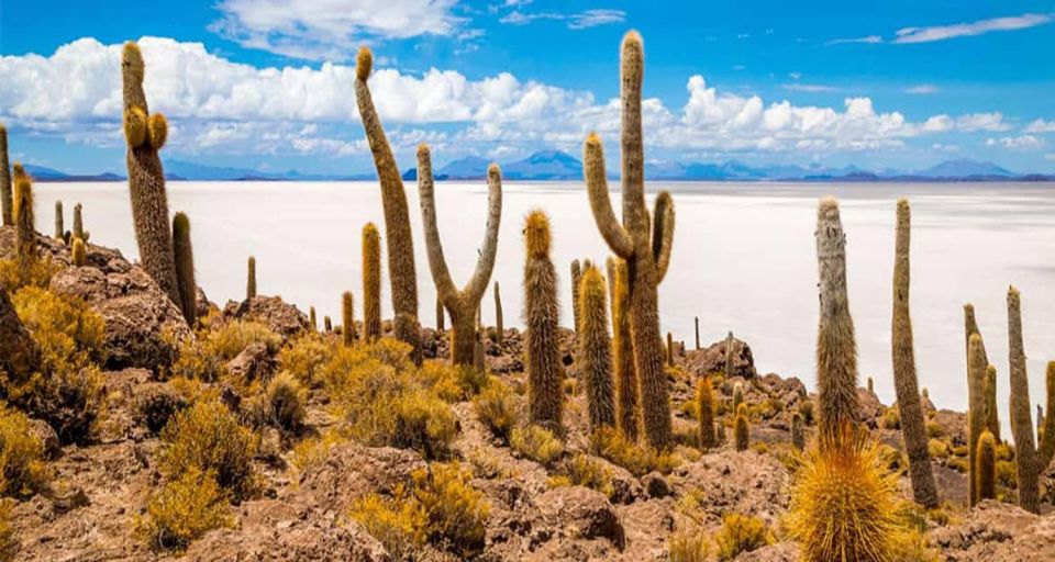 From San Pedro De Atacama 4-Day Tour to the Uyuni Salt Flat - Departure Details