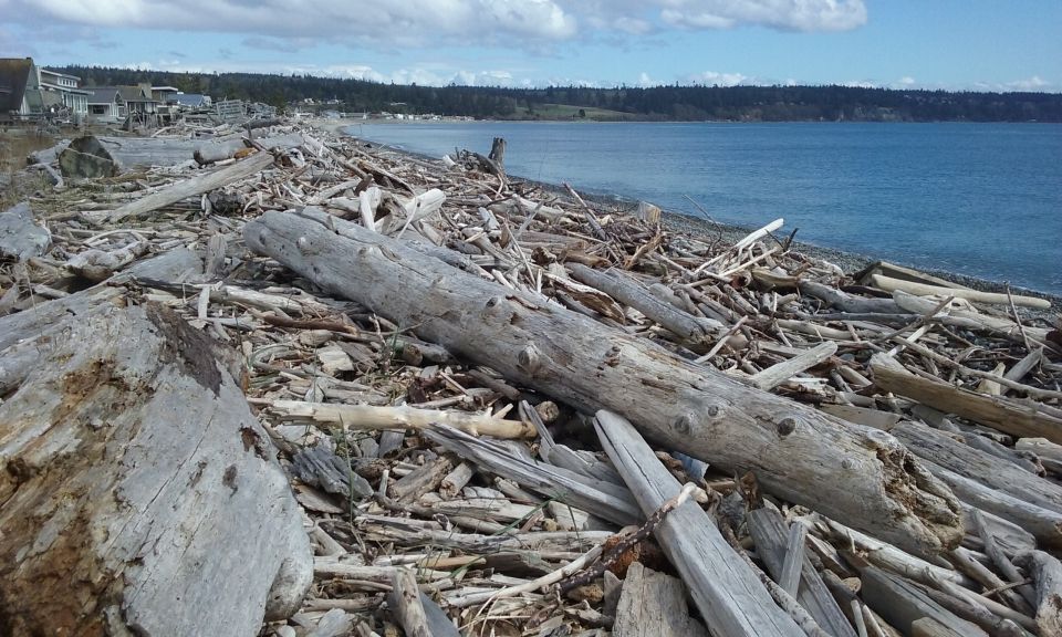 From Seattle: Whidbey Island and Deception Pass Private Tour - Whale Skeleton Viewing Opportunity